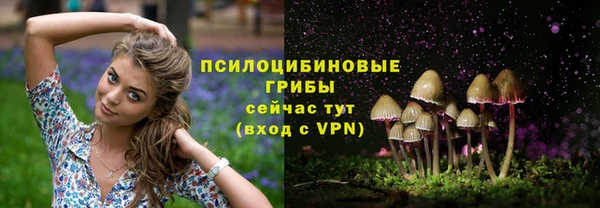 jwh Богданович