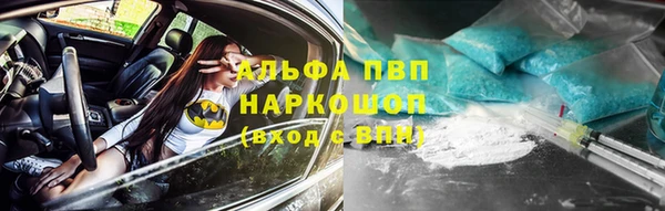 стафф Богородицк