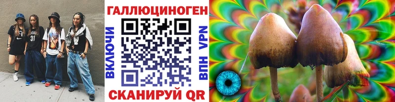 Псилоцибиновые грибы Cubensis  где купить наркотик  Данков 
